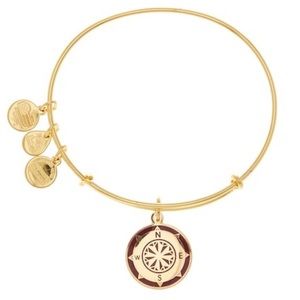 Alex and Ani Color infused Compass